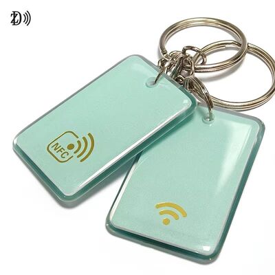 NFC 13.56Mhz RFID Epoxytag NFC Schlüsselkette MIFARE Classic EV1 1K